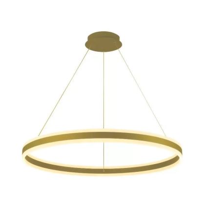 Lampadario a sospensione con filo LED dimmerabile LED/110W/230V 3000-6500K diametro 80 cm + telecomando