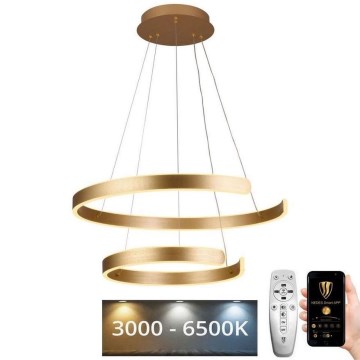 Lampadario a sospensione con filo LED dimmerabile LED/120W/230V 3000-6500K diametro 60 cm + telecomando