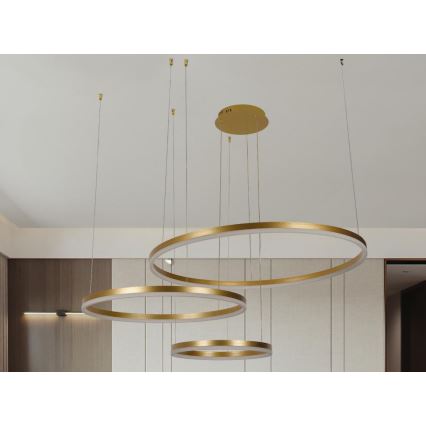 Lampadario a sospensione con filo LED dimmerabile LED/125W/230V 3000-6500K + telecomando