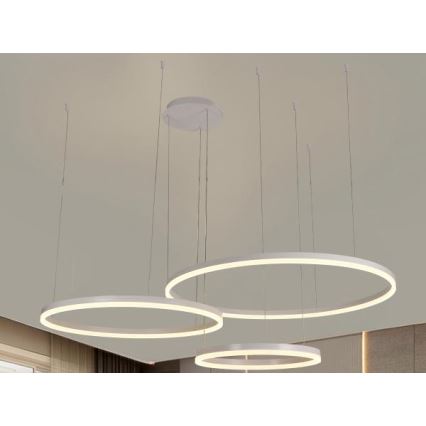 Lampadario a sospensione con filo LED dimmerabile LED/125W/230V 3000-6500K + telecomando