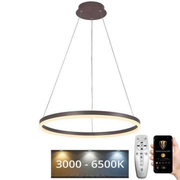 Lampadario a sospensione con filo LED dimmerabile LED/42W/230V 3000-6500K diametro 60 cm + telecomando
