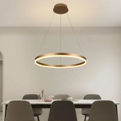 Lampadario a sospensione con filo LED dimmerabile LED/42W/230V 3000-6500K diametro 60 cm + telecomando