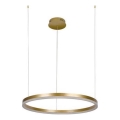 Lampadario a sospensione con filo LED dimmerabile LED/42W/230V 3000-6500K + telecomando