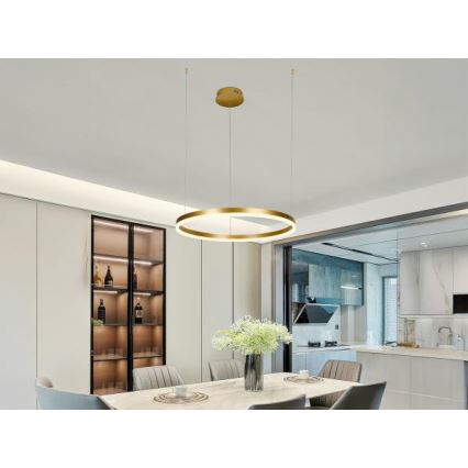 Lampadario a sospensione con filo LED dimmerabile LED/42W/230V 3000-6500K + telecomando