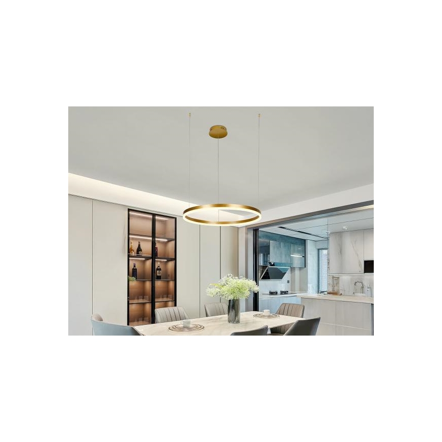 Lampadario a sospensione con filo LED dimmerabile LED/42W/230V 3000-6500K + telecomando