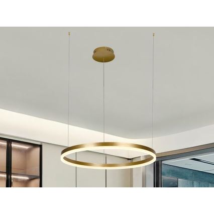 Lampadario a sospensione con filo LED dimmerabile LED/42W/230V 3000-6500K + telecomando