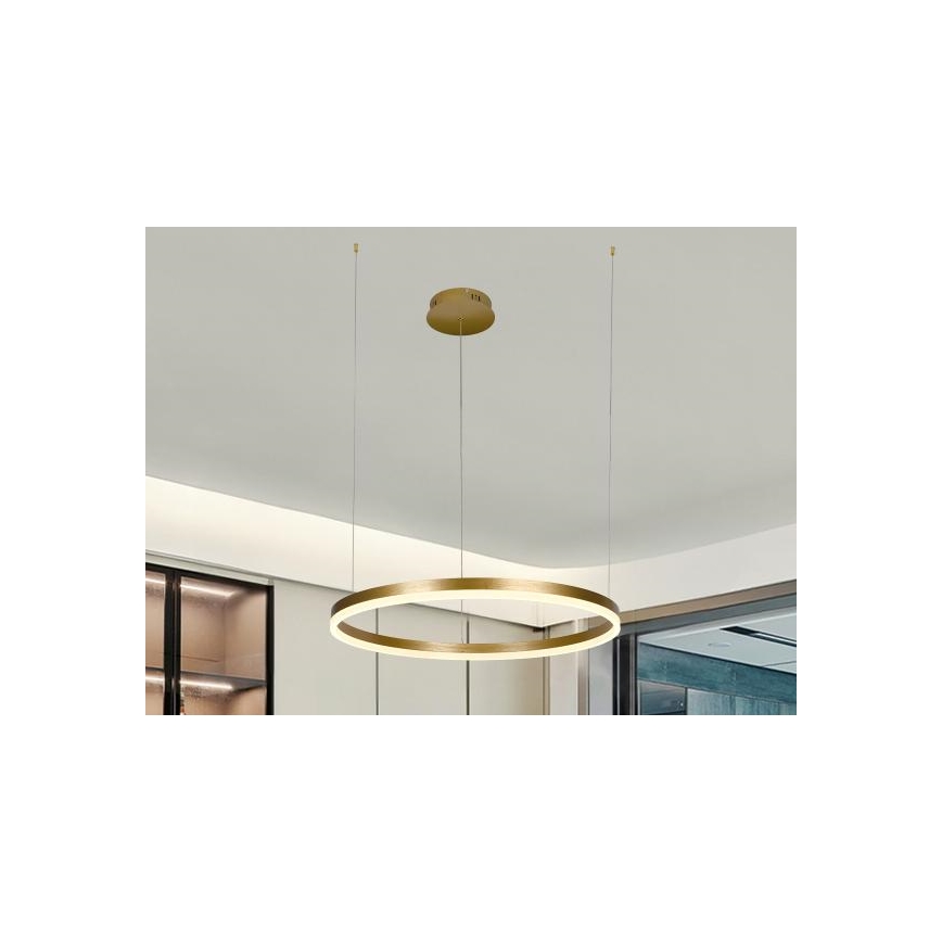 Lampadario a sospensione con filo LED dimmerabile LED/42W/230V 3000-6500K + telecomando