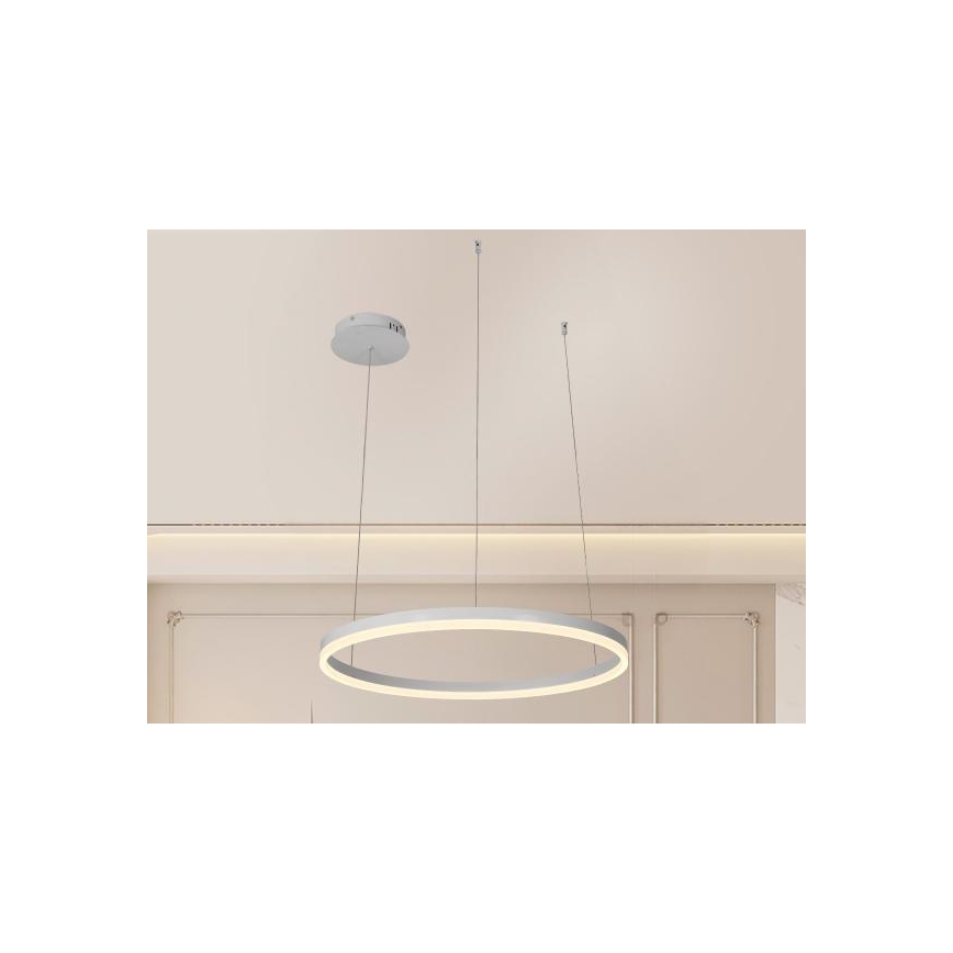 Lampadario a sospensione con filo LED dimmerabile LED/42W/230V 3000-6500K + telecomando