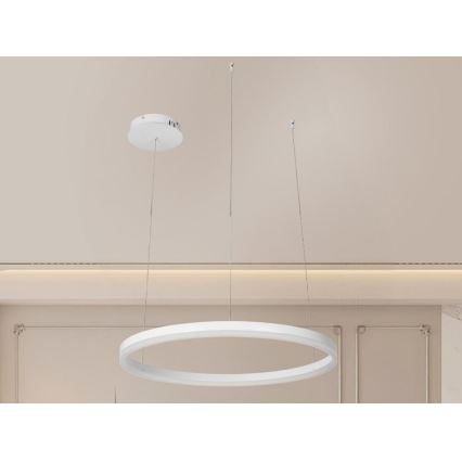 Lampadario a sospensione con filo LED dimmerabile LED/42W/230V 3000-6500K + telecomando