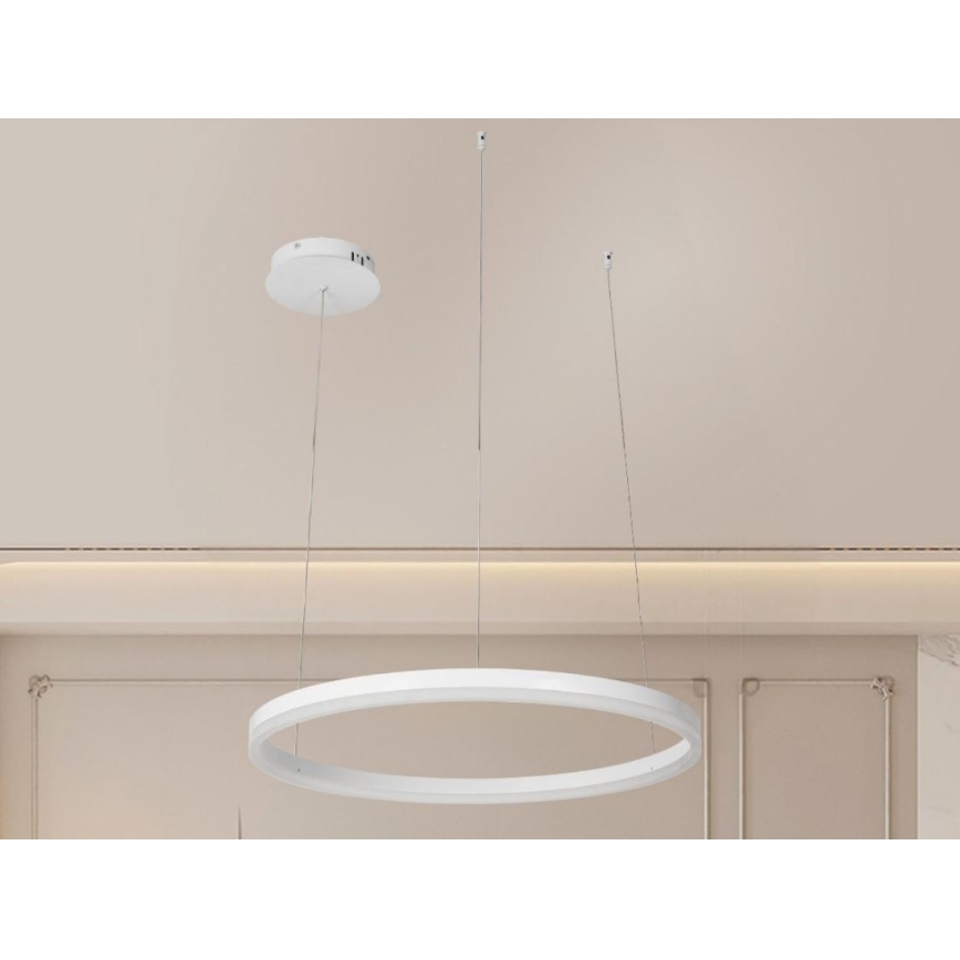 Lampadario a sospensione con filo LED dimmerabile LED/42W/230V 3000-6500K + telecomando