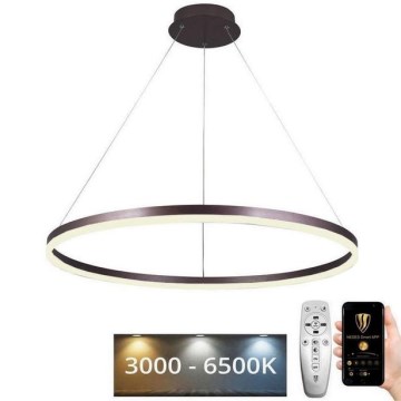 Lampadario a sospensione con filo LED dimmerabile LED/55W/230V 3000-6500K diametro 80 cm + telecomando