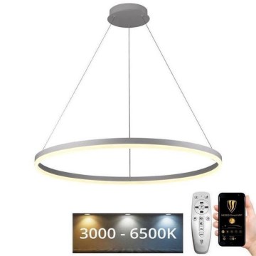 Lampadario a sospensione con filo LED dimmerabile LED/55W/230V 3000-6500K diametro 80 cm + telecomando