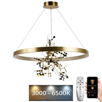 Lampadario a sospensione con filo LED dimmerabile LED/55W/230V 3000-6500K oro + telecomando