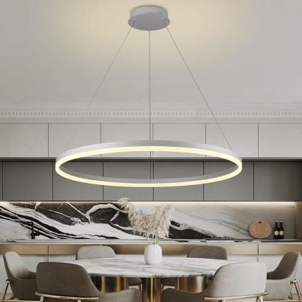 Lampadario a sospensione con filo LED dimmerabile LED/55W/230V 3000-6500K diametro 80 cm + telecomando