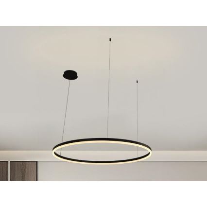Lampadario a sospensione con filo LED dimmerabile LED/55W/230V 3000-6500K + telecomando