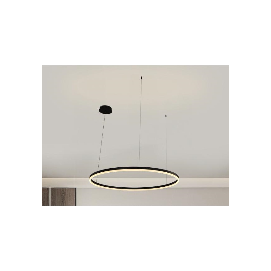 Lampadario a sospensione con filo LED dimmerabile LED/55W/230V 3000-6500K + telecomando