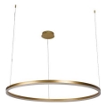 Lampadario a sospensione con filo LED dimmerabile LED/55W/230V 3000-6500K + telecomando