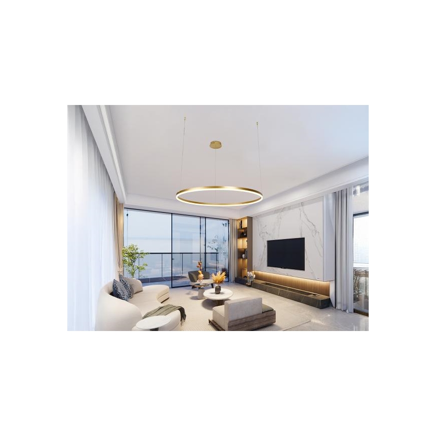 Lampadario a sospensione con filo LED dimmerabile LED/55W/230V 3000-6500K + telecomando