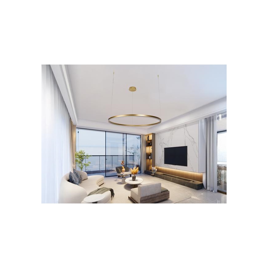 Lampadario a sospensione con filo LED dimmerabile LED/55W/230V 3000-6500K + telecomando