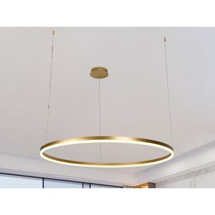 Lampadario a sospensione con filo LED dimmerabile LED/55W/230V 3000-6500K + telecomando