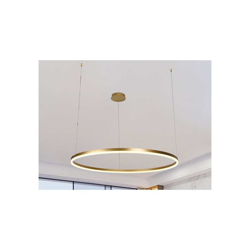 Lampadario a sospensione con filo LED dimmerabile LED/55W/230V 3000-6500K + telecomando