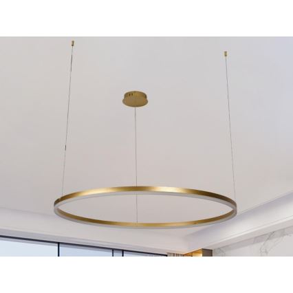 Lampadario a sospensione con filo LED dimmerabile LED/55W/230V 3000-6500K + telecomando