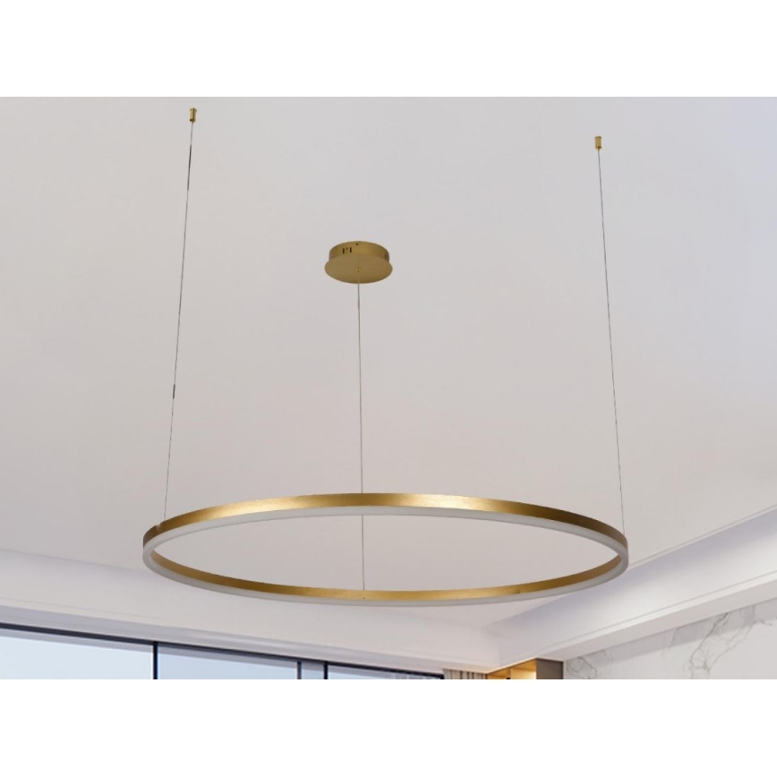 Lampadario a sospensione con filo LED dimmerabile LED/55W/230V 3000-6500K + telecomando