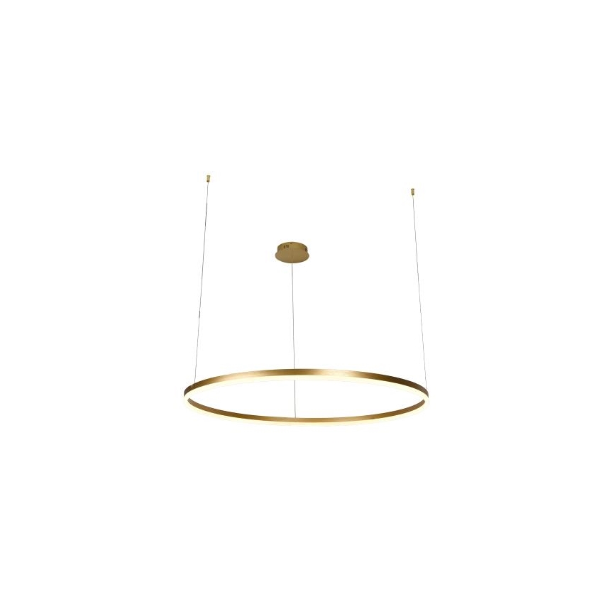 Lampadario a sospensione con filo LED dimmerabile LED/55W/230V 3000-6500K + telecomando