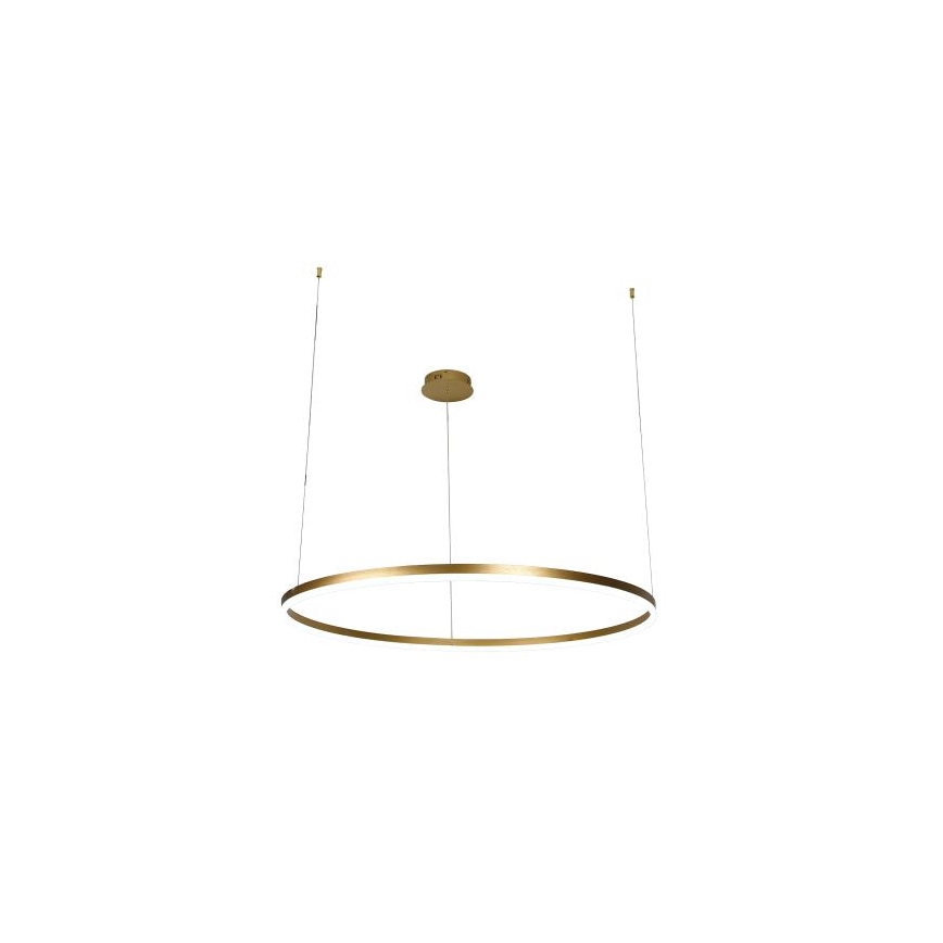 Lampadario a sospensione con filo LED dimmerabile LED/55W/230V 3000-6500K + telecomando