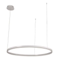 Lampadario a sospensione con filo LED dimmerabile LED/55W/230V 3000-6500K + telecomando