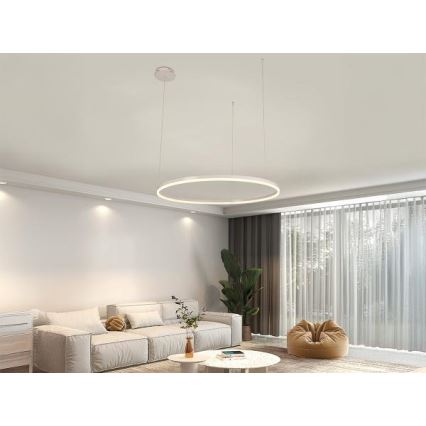 Lampadario a sospensione con filo LED dimmerabile LED/55W/230V 3000-6500K diametro 80 cm + telecomando