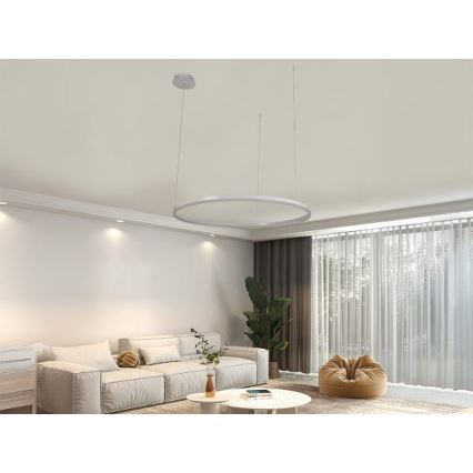Lampadario a sospensione con filo LED dimmerabile LED/55W/230V 3000-6500K diametro 80 cm + telecomando
