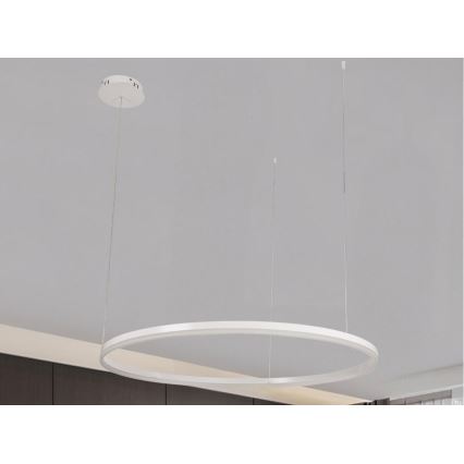 Lampadario a sospensione con filo LED dimmerabile LED/72W/230V 3000-6500K diametro 100 cm + telecomando