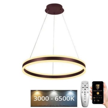 Lampadario a sospensione con filo LED dimmerabile LED/85W/230V 3000-6500K diametro 60 cm + telecomando