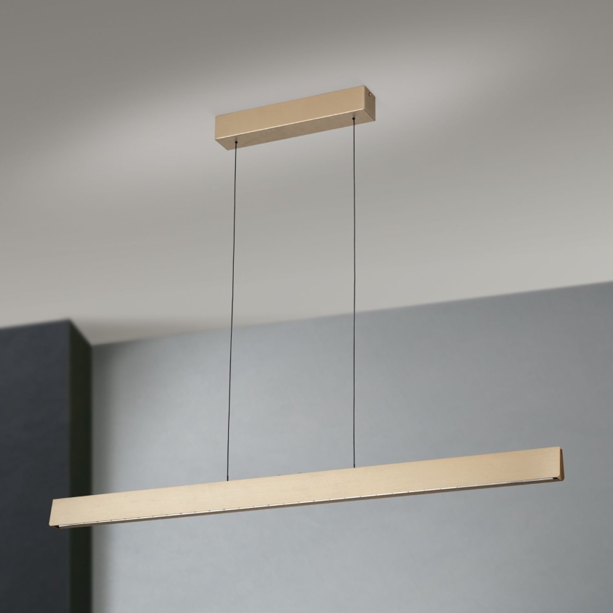 Lampadario a sospensione con filo LED dimmerabile TARA LED/44W/230V 2700/3800/4500/5700K oro