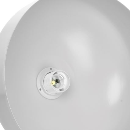 Lampadario a sospensione con filo MALMO 1xE27/60W/230V