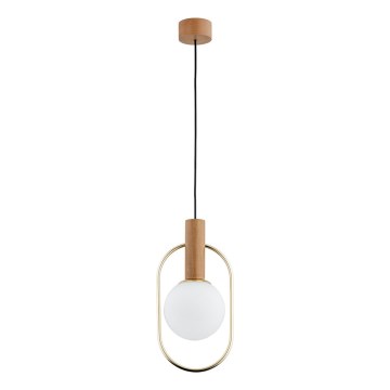 Lampadario a sospensione con filo MODI 1xE14/10W/230V oro/beige