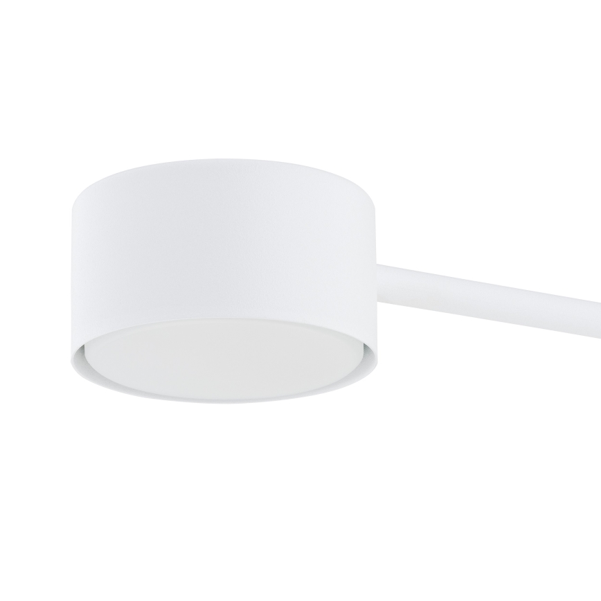 Lampadario a sospensione con filo MODUS 4xGX53/10W/230V bianco