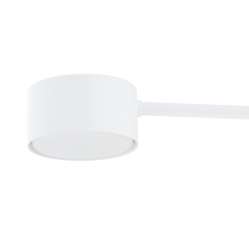 Lampadario a sospensione con filo MODUS 6xGX53/10W/230V bianco