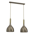 Lampadario a sospensione con filo NOAK 2xE27/15W/230V ottone/oro