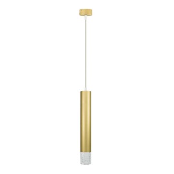 Lampadario a sospensione con filo TUBI 1xGU10/8W/230V oro