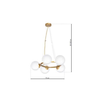 Lampadario a sospensione con filo VIENNA 5xE14/40W/230V