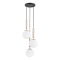 Lampadario a sospensione con filo VOLDA 3xE14/10W/230V diametro 28 cm ottone