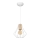 Lampadario a sospensione con filo WILL 1xE27/60W/230V