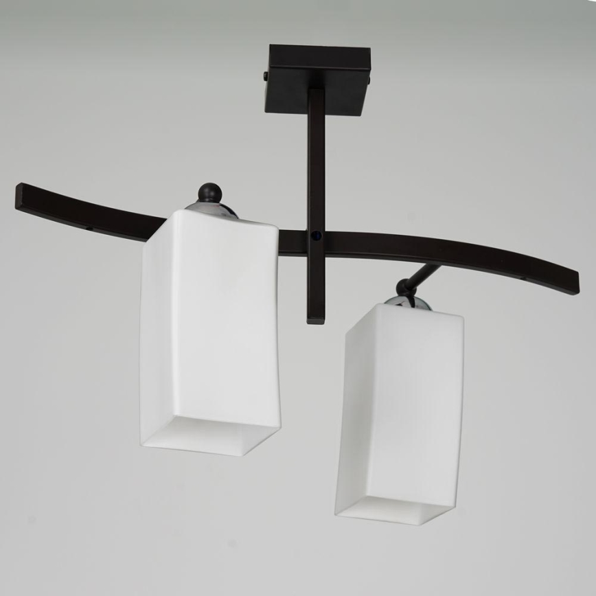 Lampadario a sospensione con supporto rigido 2xE14/15W/230V