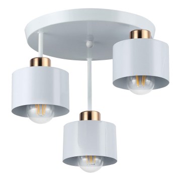 Lampadario a sospensione con supporto rigido 3xE27/35W/230V diametro 30 cm bianco/oro