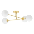 Lampadario a sospensione con supporto rigido 4xE27/35W/230V diametro 70 cm oro