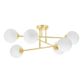 Lampadario a sospensione con supporto rigido 6xE27/35W/230V diametro 80 cm oro