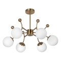 Lampadario a sospensione con supporto rigido 6xE27/60W/230V oro