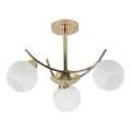 Lampadario a sospensione con supporto rigido AMOS 3xE27/40W/230V oro